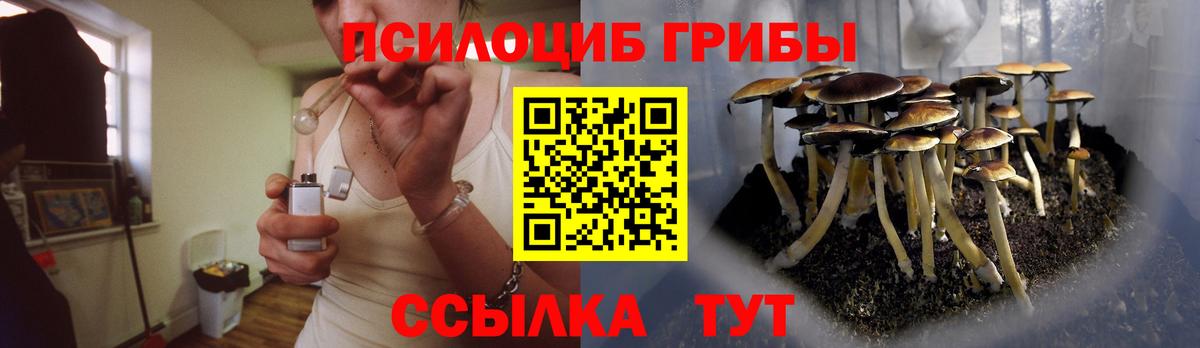 Кострома  Галлюциногенные грибы Magic Shrooms  Псилоцибиновые грибы Magic Shrooms  где продают   Вход с VPN 