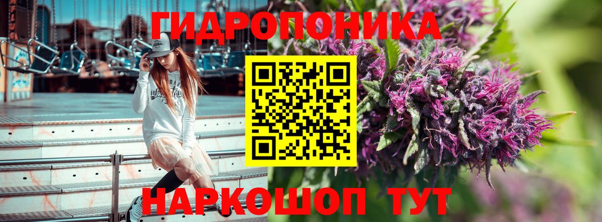 Конопля план  Канабис SATIVA & INDICA  Кострома  Вход с VPN  Канабис сатива 